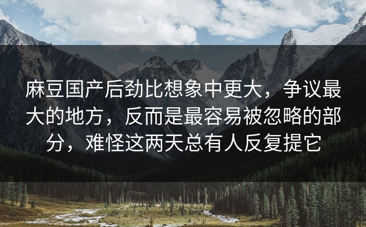 麻豆国产后劲比想象中更大,争议最大的地方,反而是最容易被忽略的部分,难怪这两天总有人反复提它 第1张 麻豆国产后劲比想象中更大,争议最大的地方,反而是最容易被忽略的部分,难怪这两天总有人反复提它 第1张