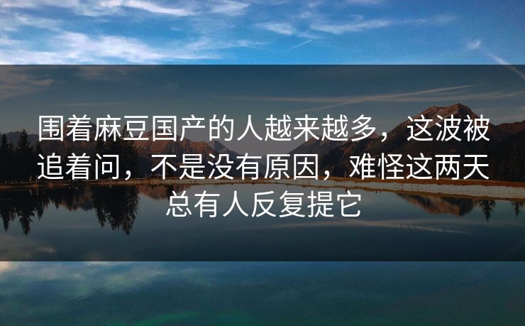围着麻豆国产的人越来越多，这波被追着问，不是没有原因，难怪这两天总有人反复提它  第1张